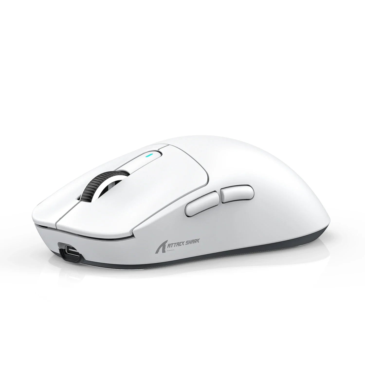 mouse